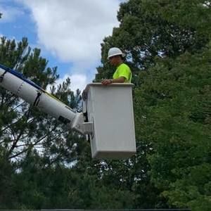 Meet your Posher, Bedford